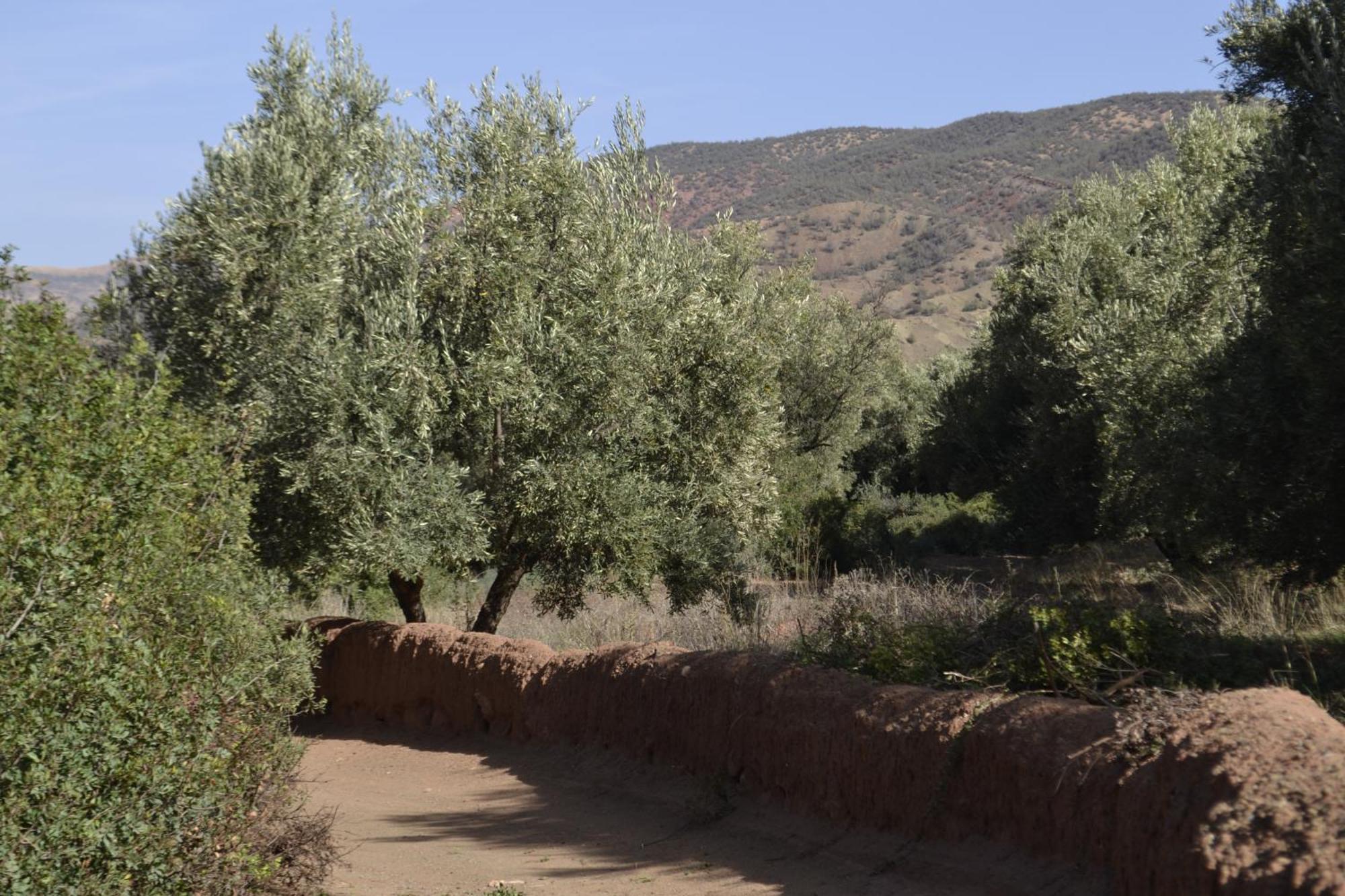 Villa Quince Уирган Екстериор снимка